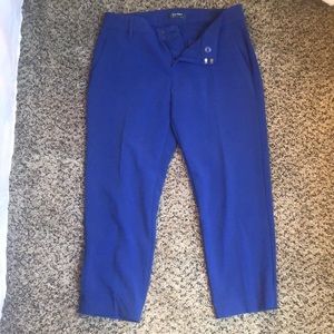 Royal blue dress pants